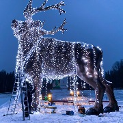 Огромный светодиодный лось (1)