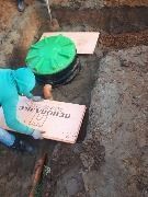 купить септик родлекс