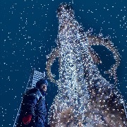 Огромный светодиодный лось (5)