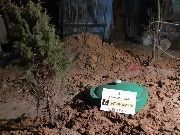 Монтаж септика под ключ