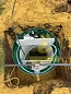 BioDevice ECO 8