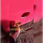 Емкость горизонтальная 1000л Усиленная