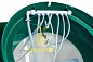 BioDevice ГОСТ 5